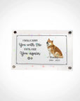frame