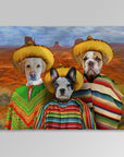 '3 Amigos' Personalized 3 Pet Blanket