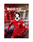 'Poland Doggos Soccer' Personalized Pet Standing Canvas