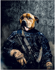'The Navy Veteran' Personalized Pet Pillow