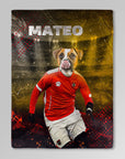 Austria Doggos Soccer Personalized Pet Blanket