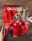 Personalized pet puzzle featuring a beagle in a red Denmark soccer jersey with the name "OLIVER".