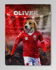 'Denmark Doggos Soccer' Personalized Pet Blanket