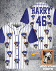 New York Doggo Mets Custom Baseball Jersey