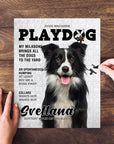 Personalized Playdog puzzle featuring a black and white Border Collie portrait on a wooden table.