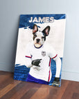 Personalized French Bulldog pet canvas in a USA soccer uniform, with "JAMES" at the top.
