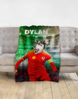 Personalized pet blanket with a dog's head on a Welsh football player's body, stadium background, and "DYLAN" text.