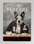 'Furends' Personalized Pet Blanket