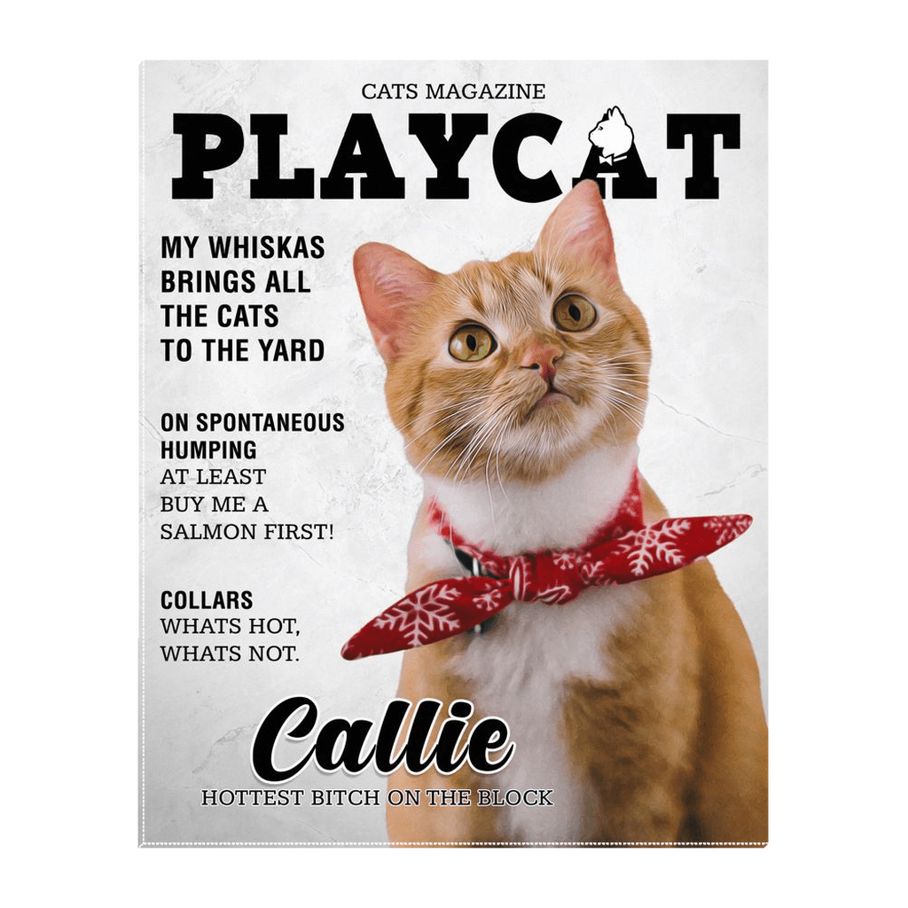&#39;Playcat&#39; Personalized Pet Standing Canvas