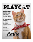 'Playcat' Personalized Pet Standing Canvas