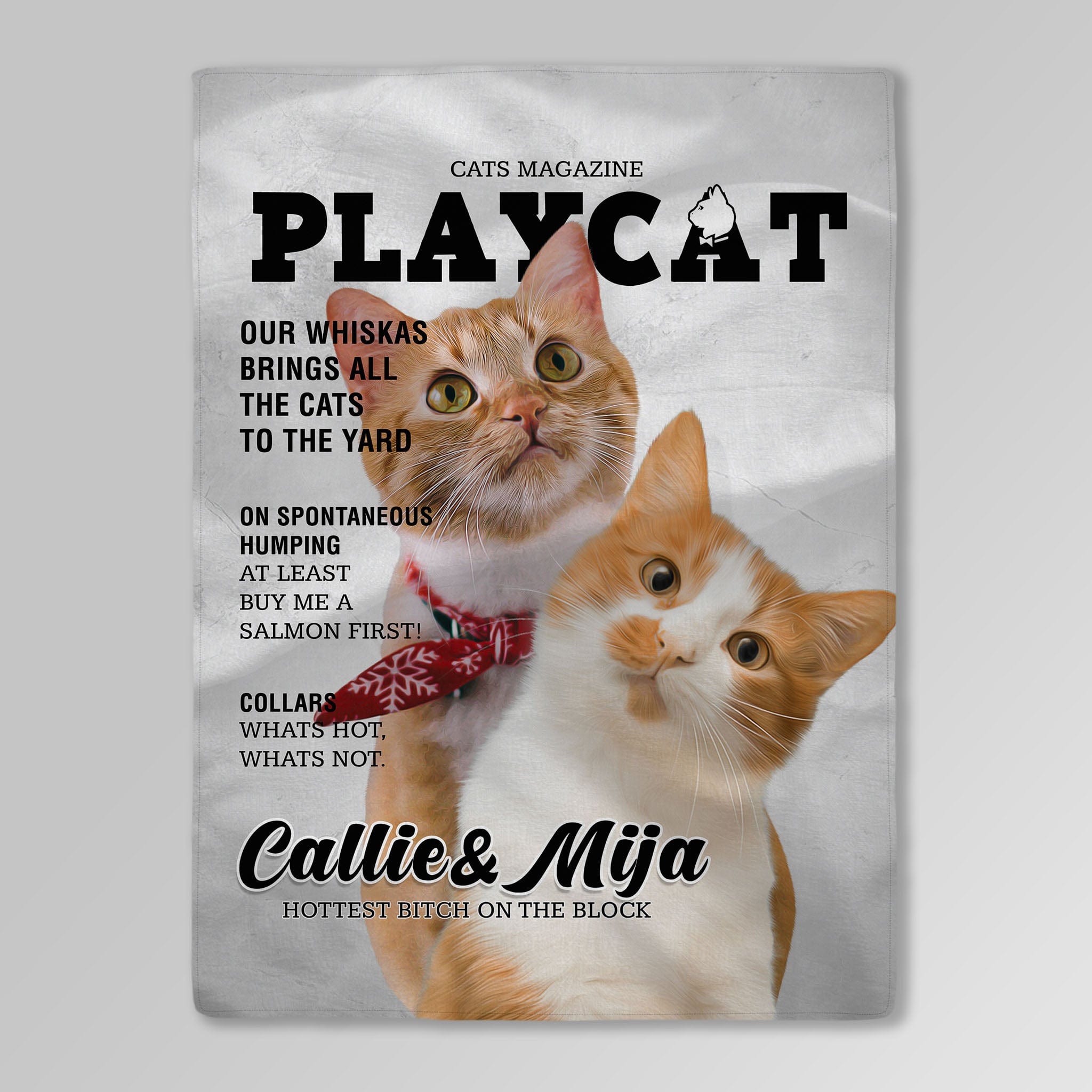 &#39;Playcat&#39; Personalized 2 Pet Blanket