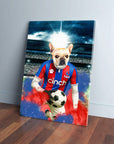 Personalized pet canvas featuring a French Bulldog in a Crystal Palace football kit, holding a soccer ball.