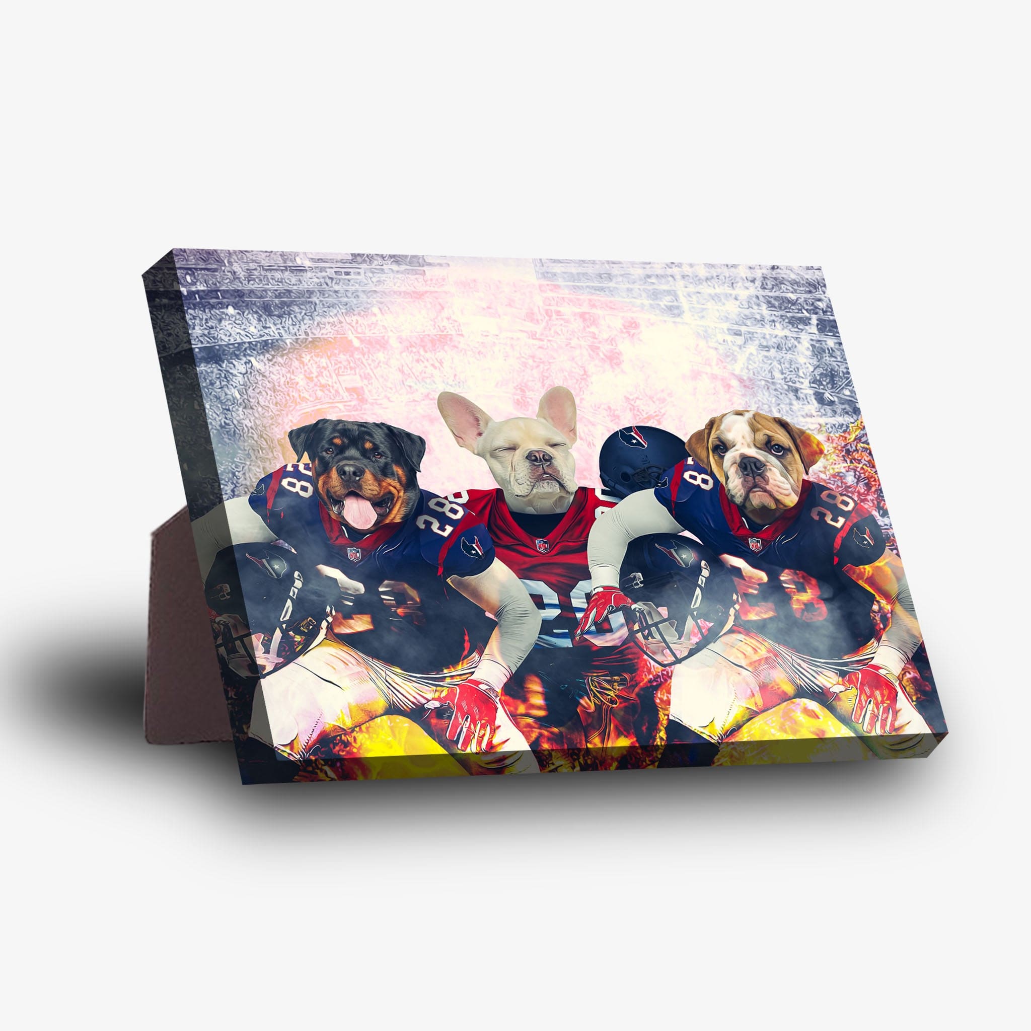 Personalized 3-pet standing canvas featuring dogs in football uniforms on a fiery field.