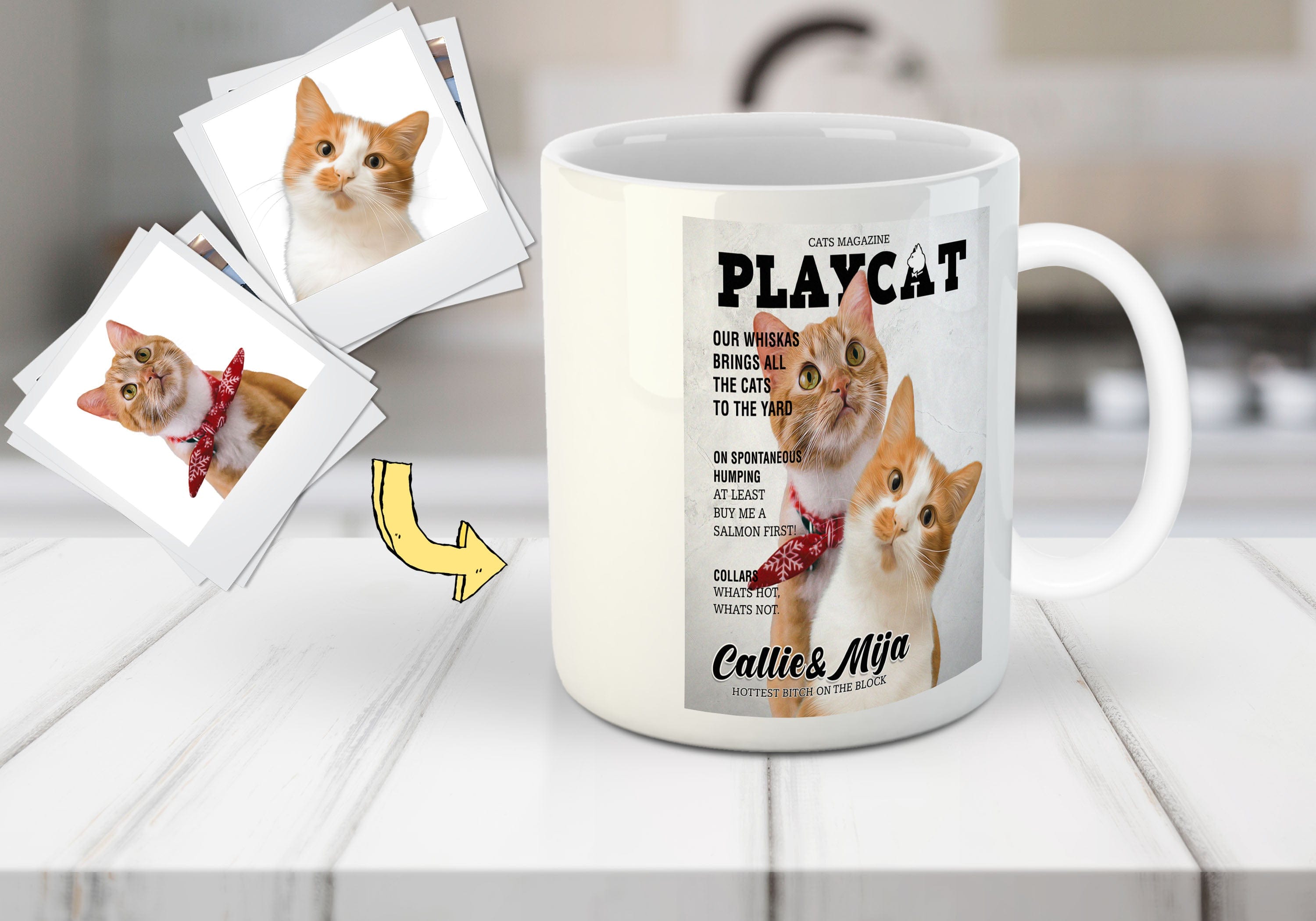 &#39;Playcat&#39; Custom 2 Pets Mug