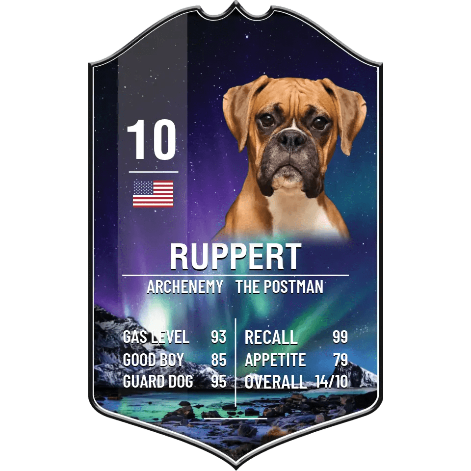 Custom pet sport card plaque featuring a boxer dog's portrait, name "Ruppert," stats, and a northern lights background.