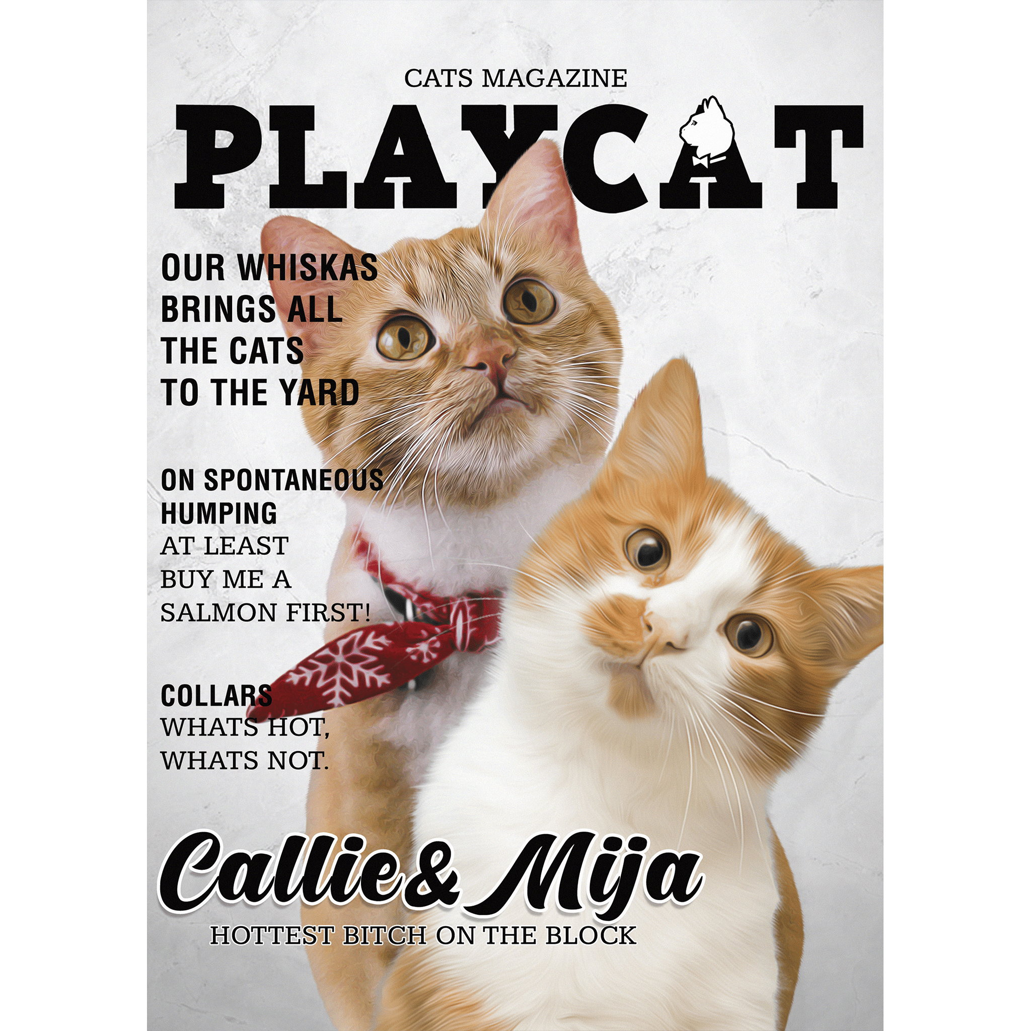 Custom digital portrait of two orange cats on a "Playcat" magazine cover design.
