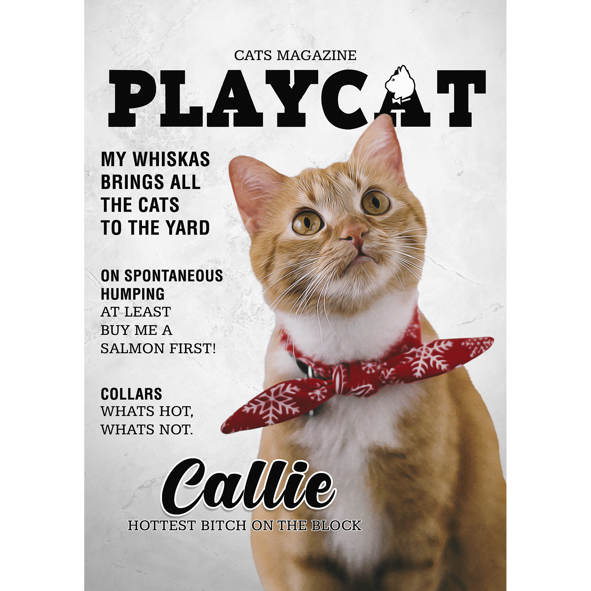 Personalized 'Playcat' digital portrait featuring an orange cat with a red snowflake bandana.
