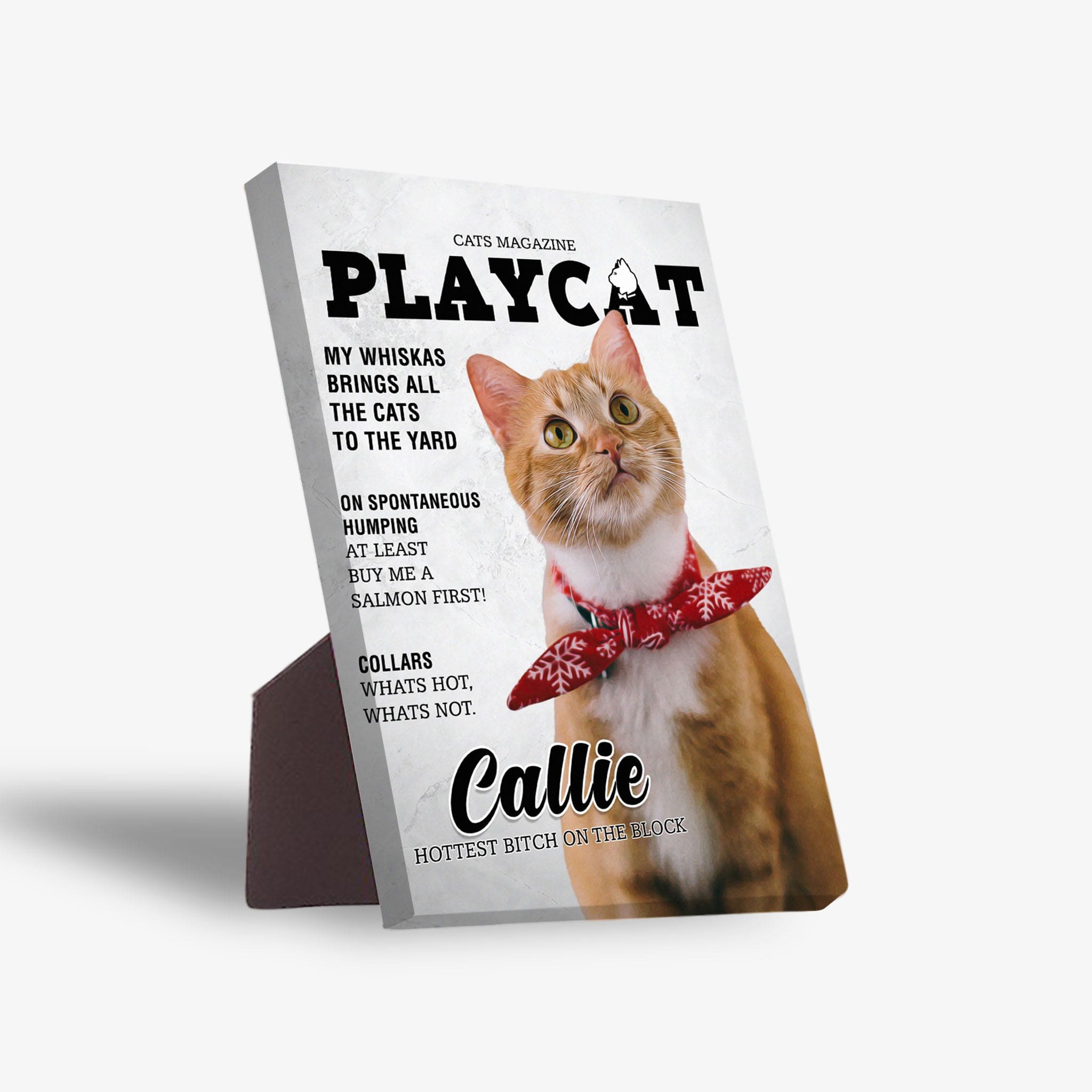 Personalized Playcat magazine cover standing canvas featuring an orange cat in a red bow tie.