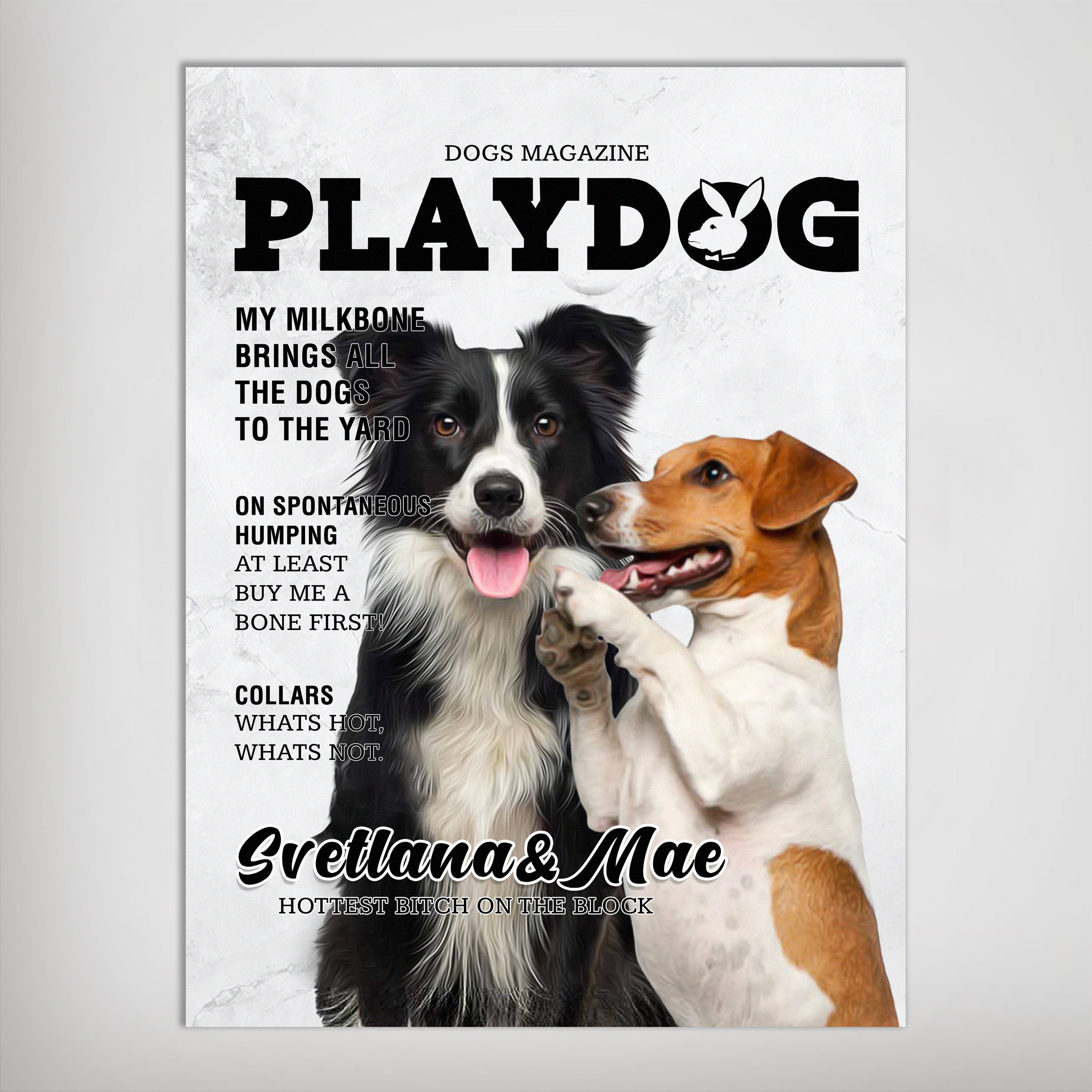 Personalized 'Playdog' magazine cover poster featuring a black and white Border Collie and a brown and white Jack Russell.