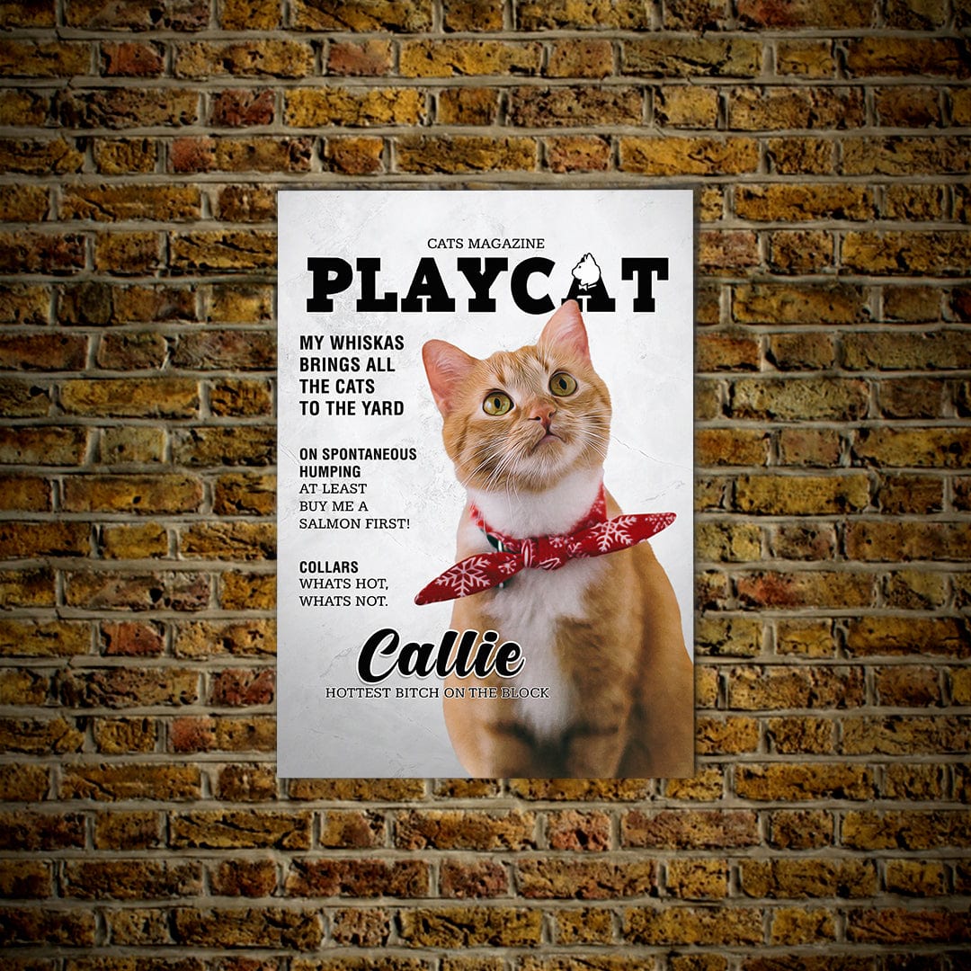 &#39;Playcat&#39; Personalized Pet Poster