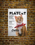 Póster de mascota personalizada 'Playcat'