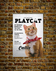 'Playcat' Personalized Pet Mini Portrait