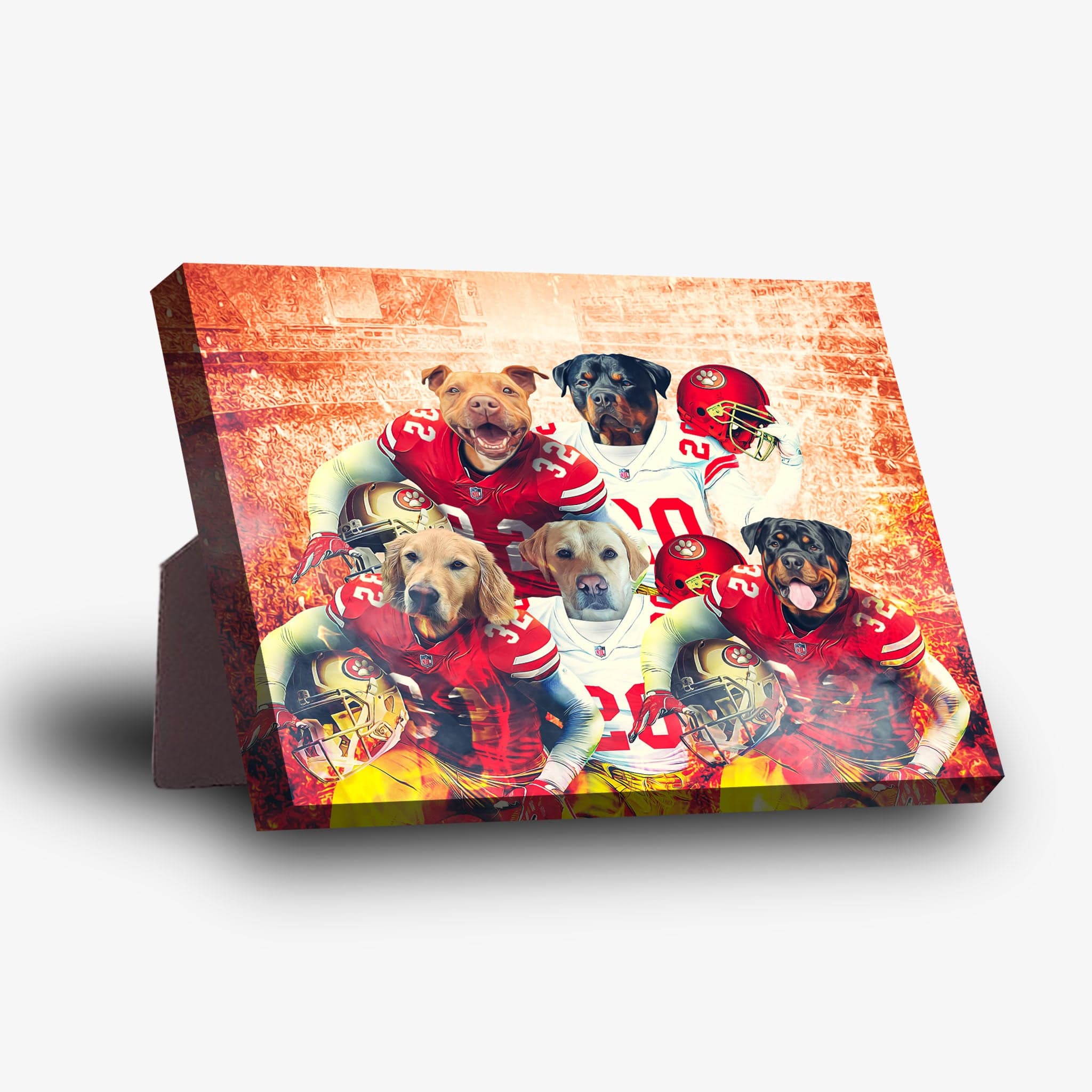 Personalized San Francisco 40Doggos 5-pet standing canvas featuring dogs in football uniforms.