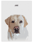 Personalized Modern Pet Mini Portrait