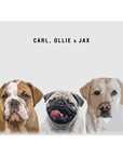 Personalized Modern 3 Pet Mini Portrait