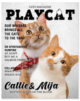 'Playcat' Personalized 2 Pet Poster