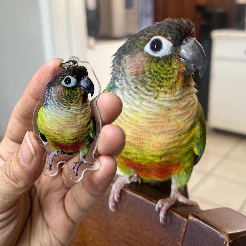 Bundle With an Acrylic Pet Photo Keychain for 50% Off!