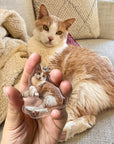 Bundle With an Acrylic Pet Photo Keychain for 50% Off!