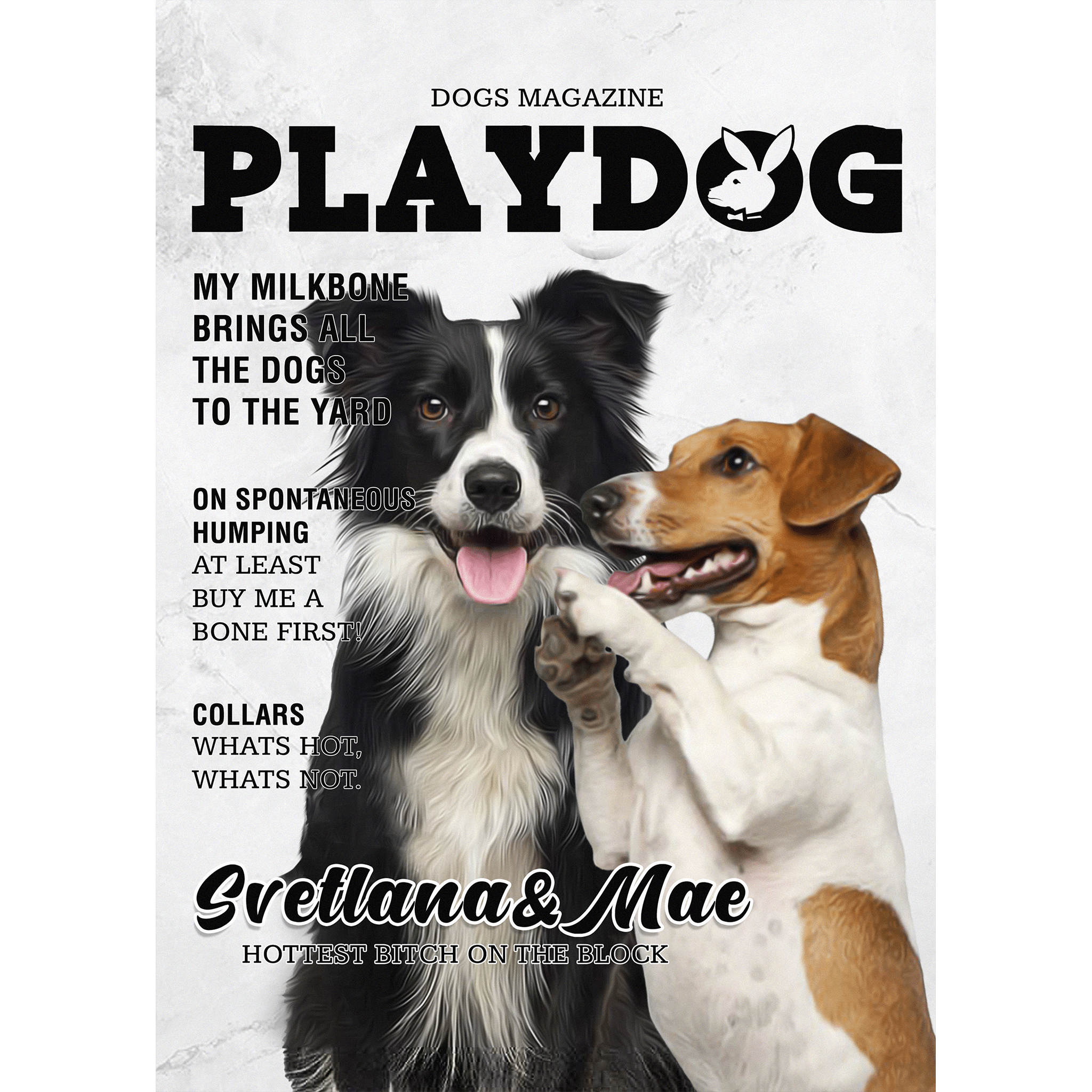 &#39;Playdog&#39; 2 Pet Digital Portrait