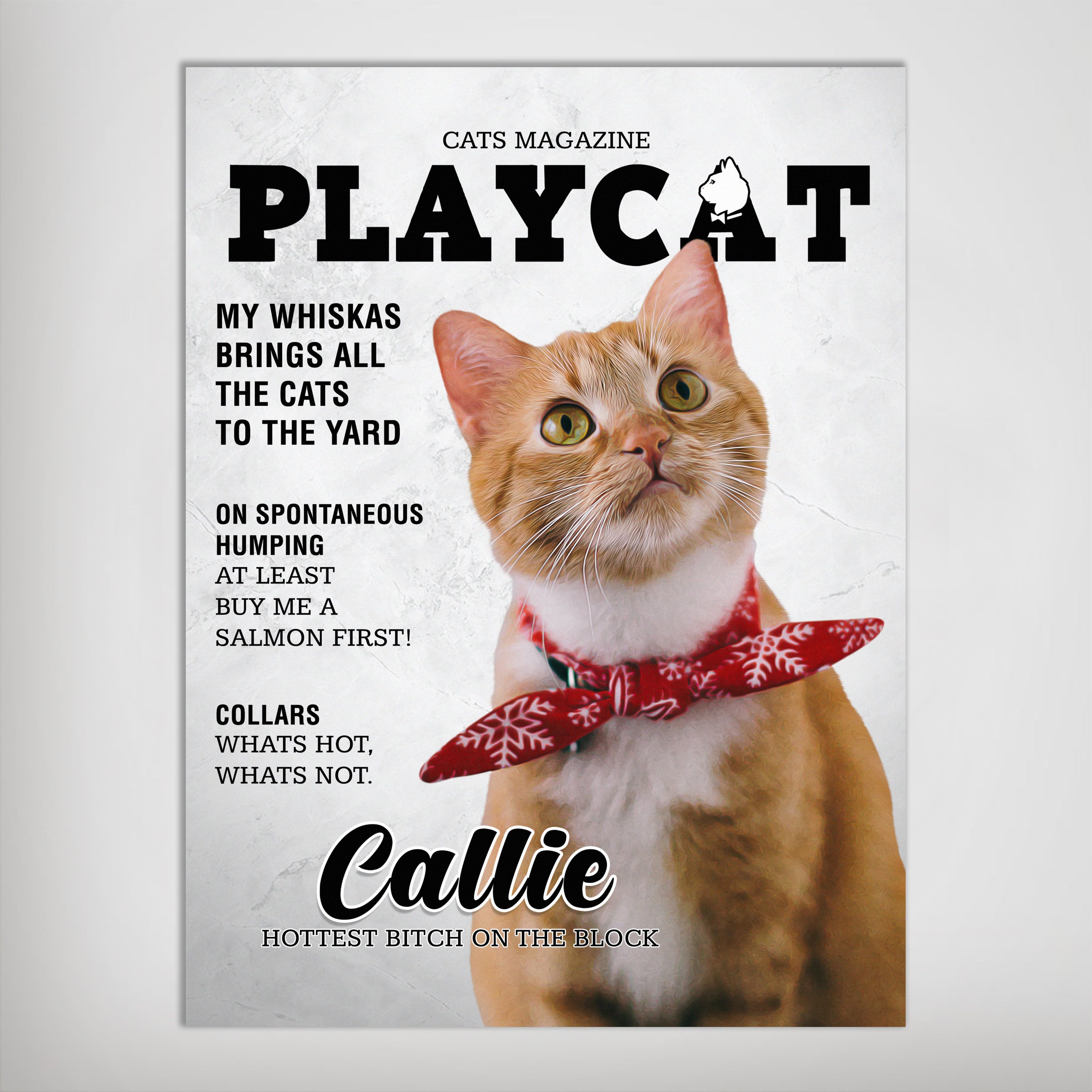 Póster de mascota personalizada &#39;Playcat&#39;