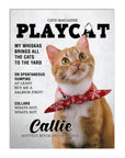 'Playcat' Personalized Pet Mini Portrait