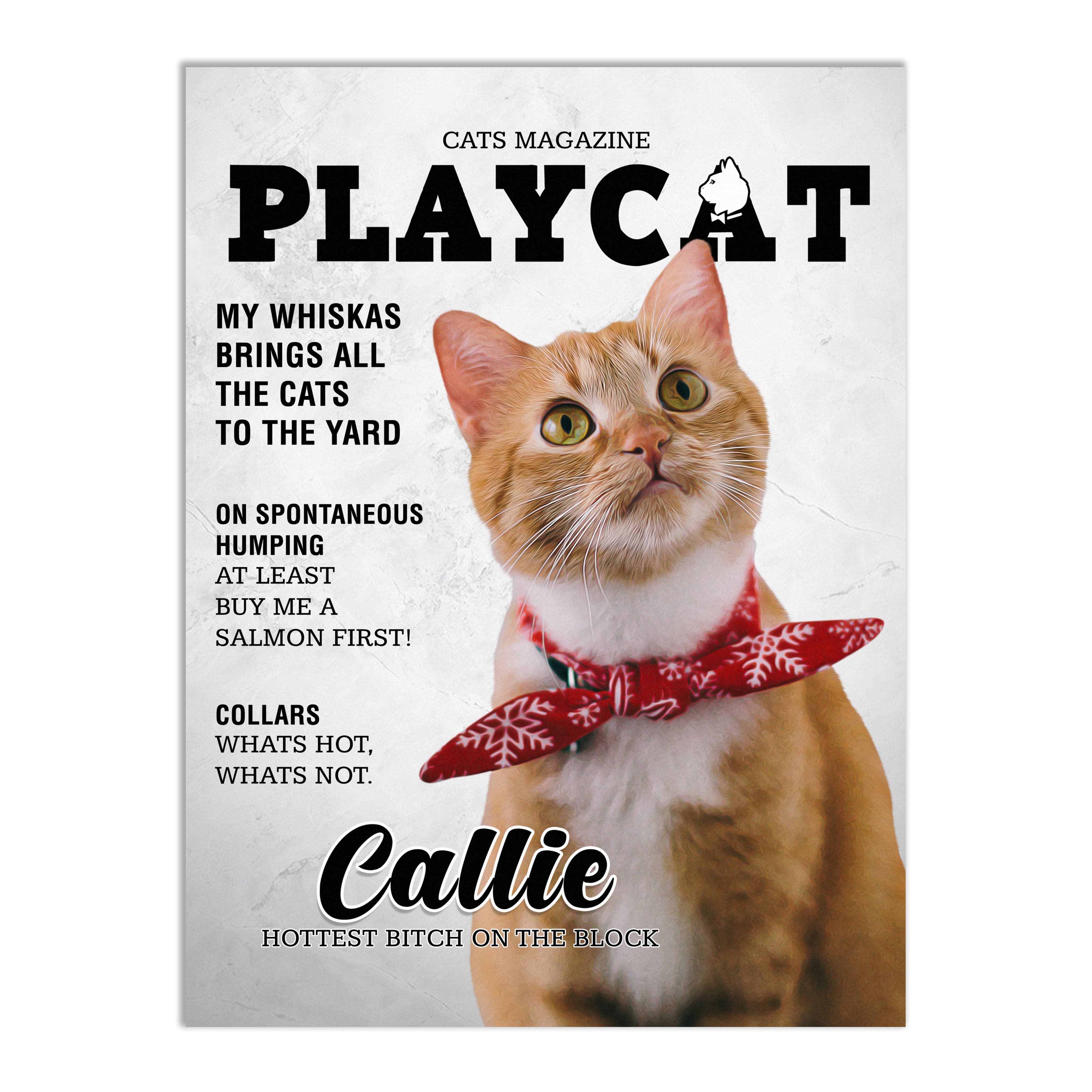 &#39;Playcat&#39; Personalized Pet Poster