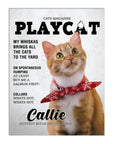 'Playcat' Personalized Pet Poster