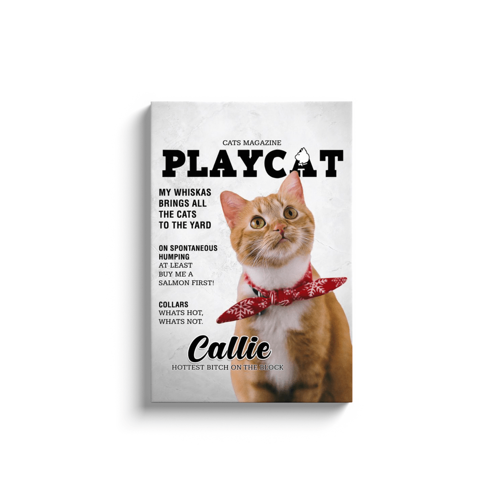 &#39;Playcat&#39; Personalized Pet Canvas
