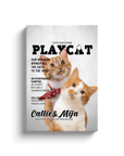 'Playcat' Personalized 2 Pet Canvas
