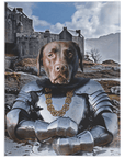 'The Knight' Personalized Pet Blanket