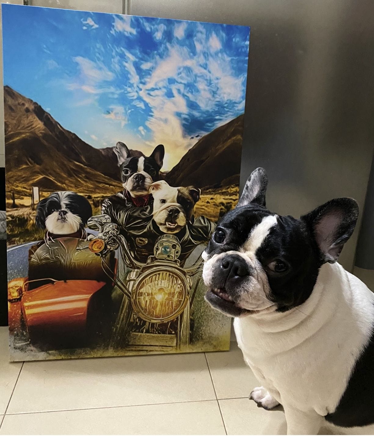 &#39;Harley Wooferson&#39; Personalized 3 Pet Canvas