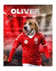 Lienzo personalizado para mascotas 'Denmark Doggos Soccer'