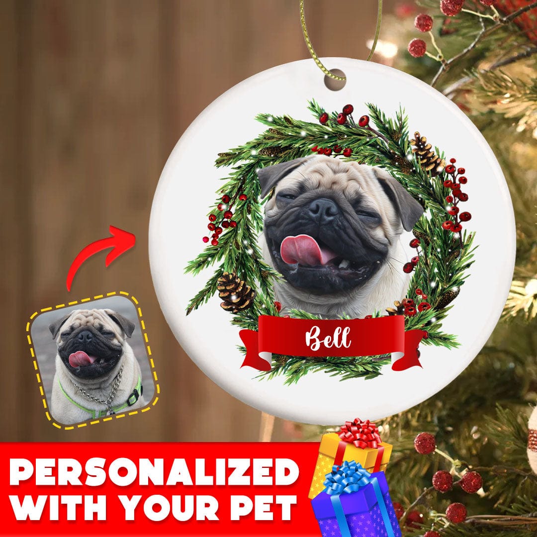 Personalized Pet Ornaments: Digital Illustration (8 Backgrounds)