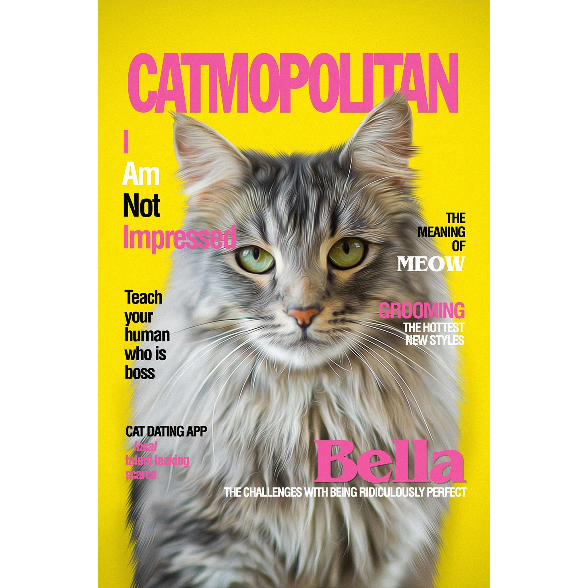 Personalized Catmopolitan magazine cover portrait featuring a fluffy grey cat on a yellow background.