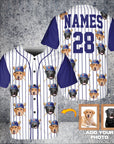 Chicago Beardogs Custom Baseball Jersey