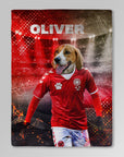 Manta personalizada para mascotas 'Denmark Doggos Soccer'