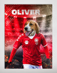 'Denmark Doggos Soccer' Personalized Pet Poster