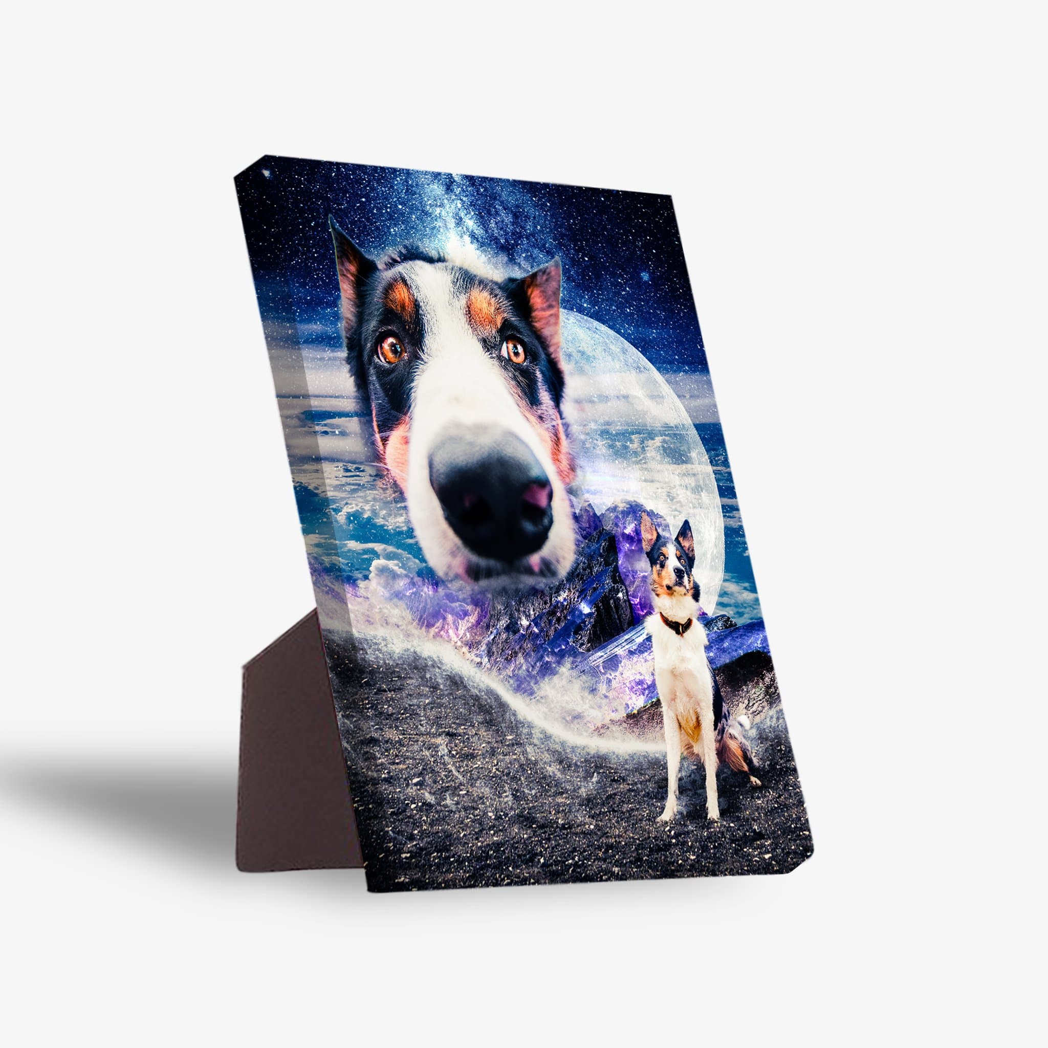 &#39;Doggo in Space&#39; Personalized Pet Standing Canvas