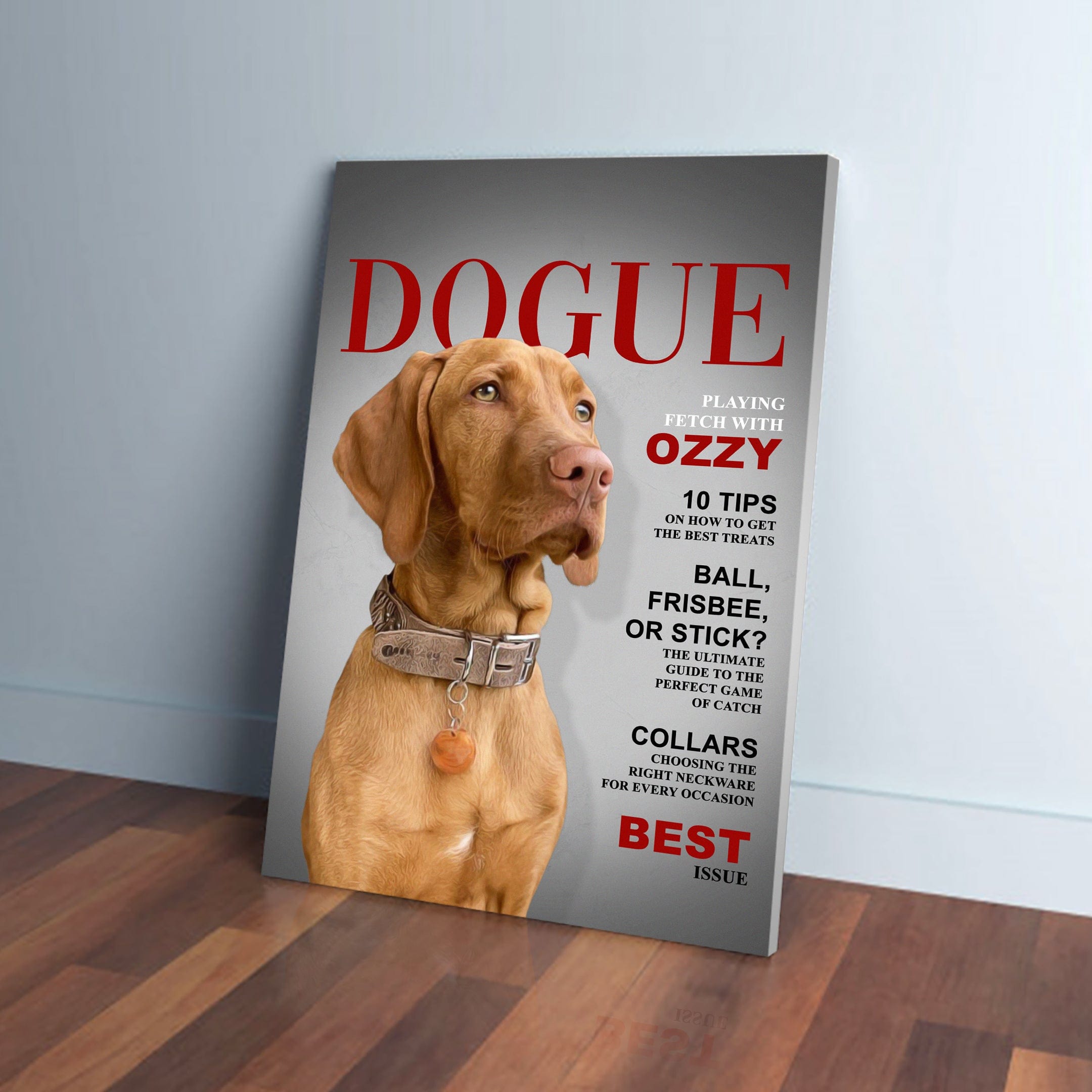 Personalized Dogue pet canvas featuring a Vizsla dog in a silver collar, leaning against a gray wall.