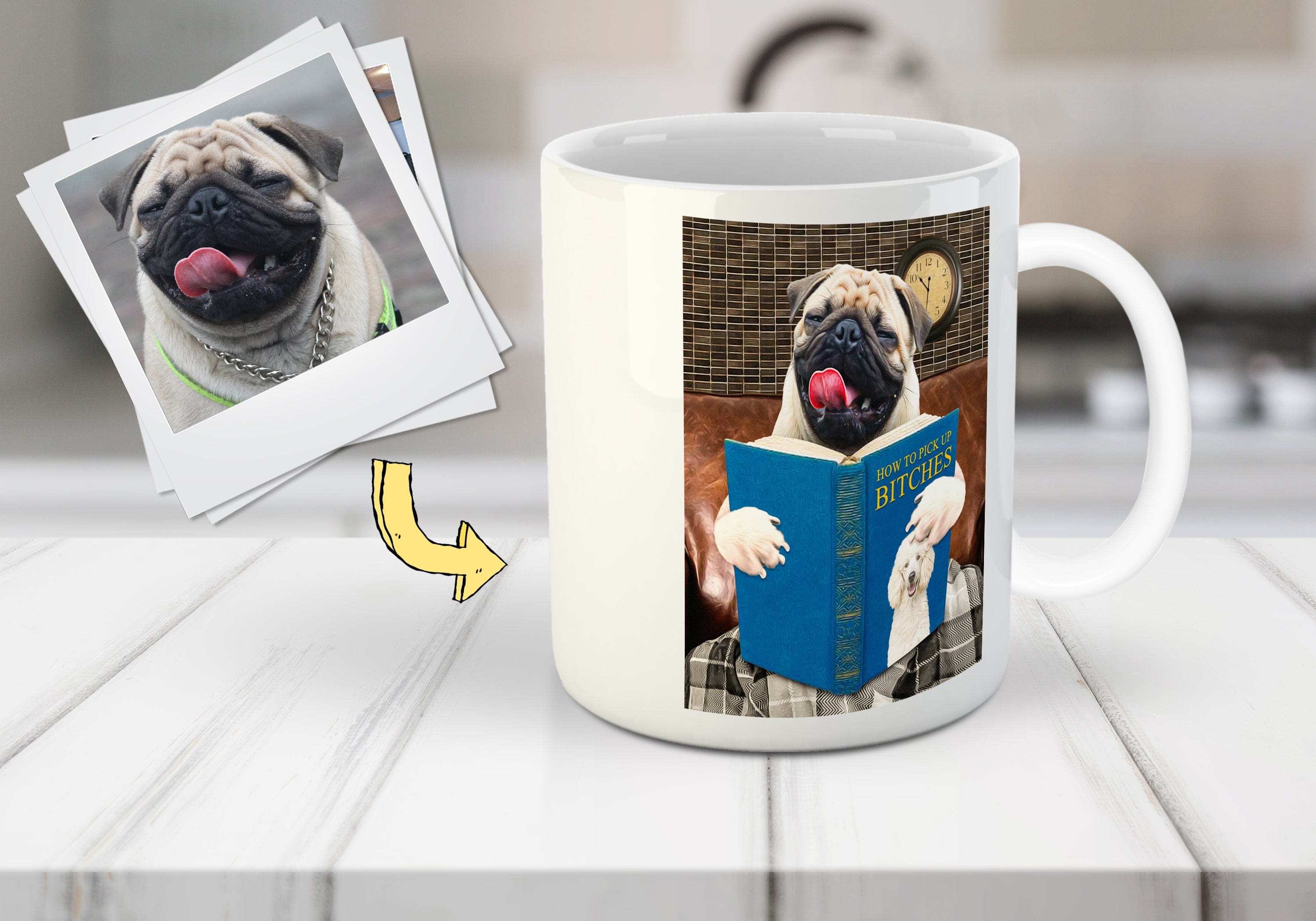 &#39;How to Pick Up Female Dogs&#39; Personalized Pet Mug